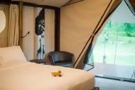 Lala Mukha Tented Khao Yai - 37
