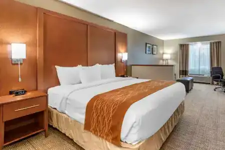 Comfort Inn Portland - 29