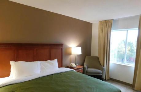Quality Inn Colchester - 44