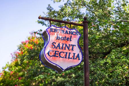 Saint Cecilia - 27