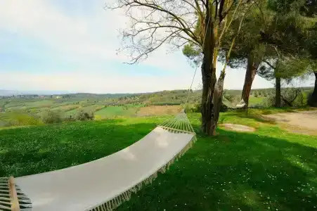 Mancino - 7