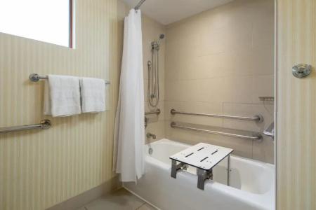 Sheraton Carlsbad Resort & Spa - 86
