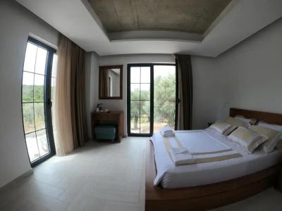 Mashtra - The Olive House - 16