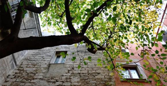 b&b Suite Home Trani - 26