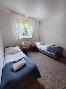 Pirat & SPA-z basenem - 30