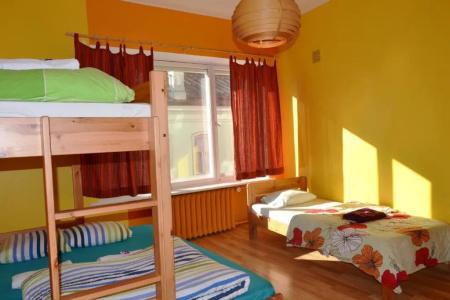 Viru Backpackers - 25