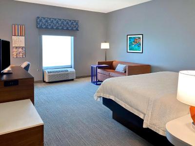 Hampton Inn & Suites/St. Petersburg-Ulmerton Road - 48