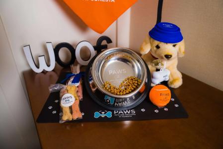 Sonesta Simply Suites Austin South - 30