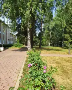 Вольгинский - 0