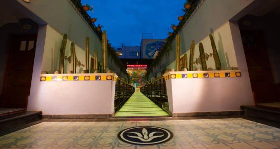 Parque México Boutique - 15