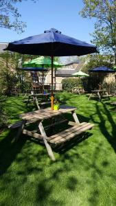 Coach & Horses - 30