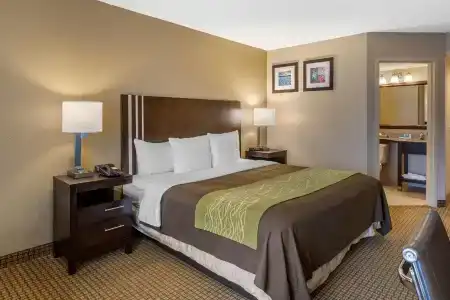 Comfort Inn 290/Nw - 50