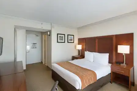 Comfort Inn By the Bay San Francisco - 2