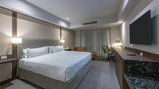 Holiday Inn Cordoba, An Ihg - 37