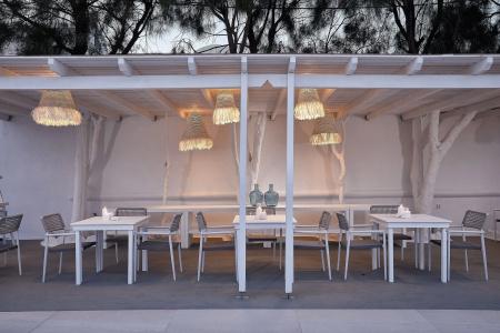 Petri Suites - 31