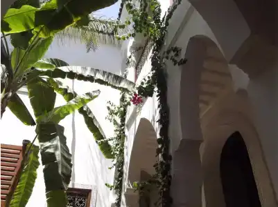 Riad Les Bougainvilliers - 14