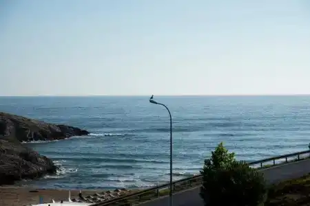 Fener Motel - 16
