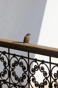 Riad Dar Massaï - 28