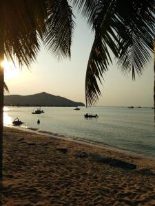 Asia's Beach - 10