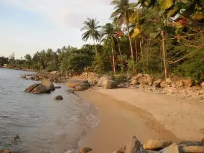 Beach Phangan - 6