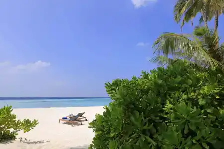 Avani+ Fares Maldives Resort - 44