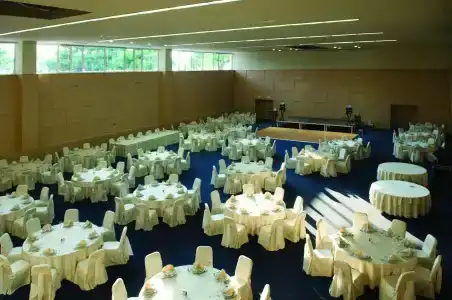 Olympia - 20