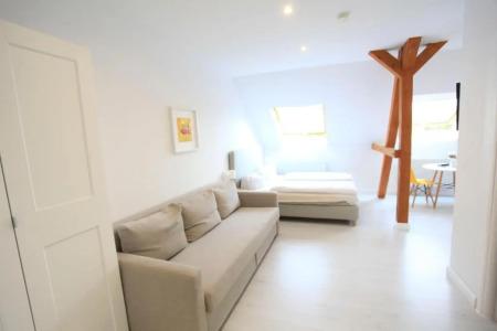 Zollikof Aparts - Sauna & Studio - 76