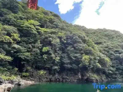 屋久島 民宿すぎのこ - 31