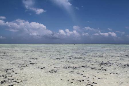 Ujamaa Beach - 17