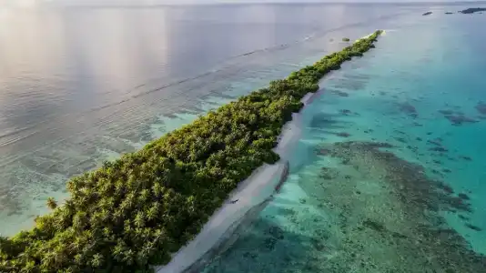 Whaleshark Beach - 8