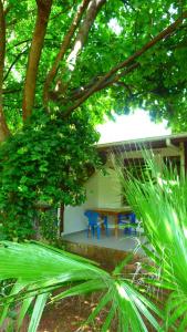 Simge Pension - 30