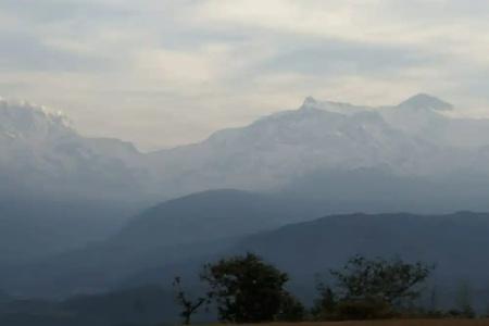 Mountain Garden - 6