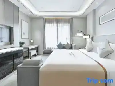 Wyndham Grand Plaza Royale Chongqing - 66