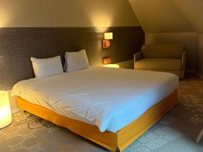 ibis Styles Tours Centre - 25