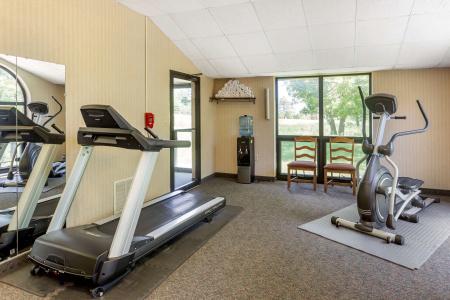 Comfort Inn at Thousand Hills - 18