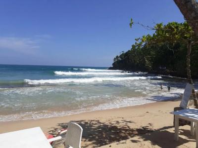 Coral Beach - 12