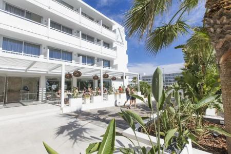 Anfora Ibiza - 0