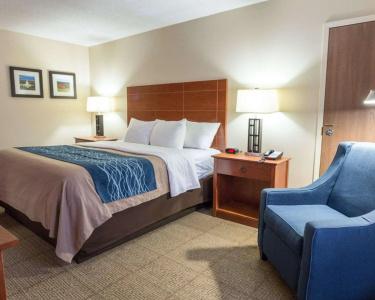 Comfort Inn Civic Center - 5