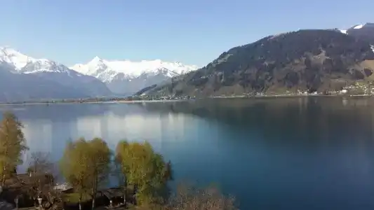 SeeBellevue - 15