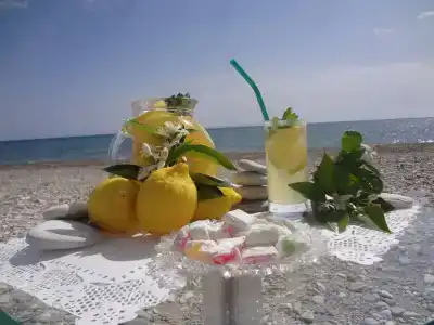 Fito Aqua Bleu - 10