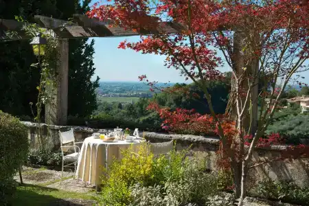 Cipriani - 17