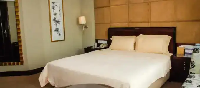 Chinflux Mandarin - 20