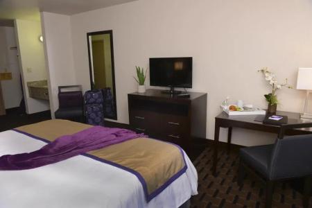 The Grand Canyon University - 5