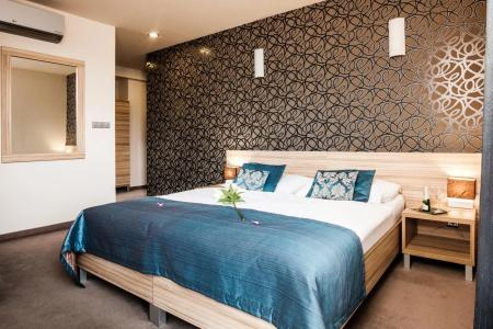 Deluxe with free Wellness and Fitness Centrum - 2
