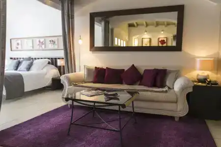 Hôtel Le Roi Théodore & Spa - 1