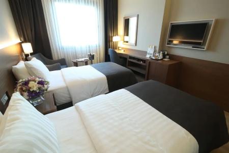 Holiday Inn Bursa - City Centre, An Ihg - 91