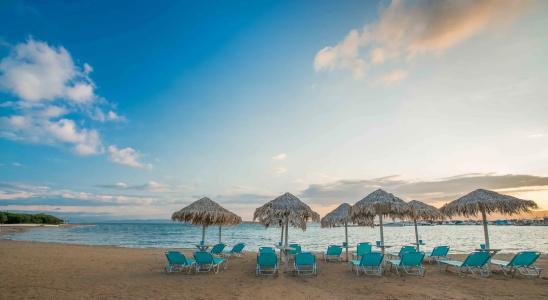 Oasis Beach - 100