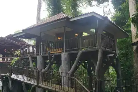 Rock and Tree House Resort - 33