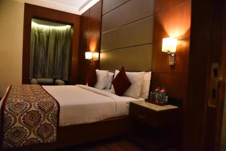 Lords Plaza Jaipur - 3