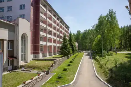 Сосновый бор - 0